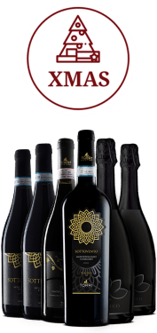 Pacchetto convenienza Natale - 6 bottiglie per le feste
