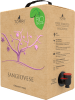 Sangiovese IGT Terre d'Abruzzo in Bag in Box 5L