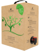 Trebbiano D'Abruzzo DOC in Bag in Box 5L