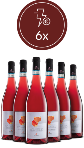#ROSÉWEEK - 6x Bottiglie Ca'Natura Cerasuolo d'Abruzzo DOC