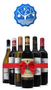 Iscrizione Torri Store Plus + Bundle di benvenuto 3+3 [SELEZIONE FRANCIA]
