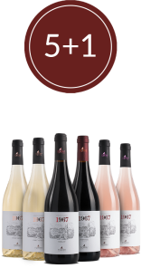 Promo selezione Linea Anniversario 1967 5+1 bottiglia gratis